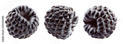 Blackberry. Blackberries isolated. Blackberry set on white background. photo