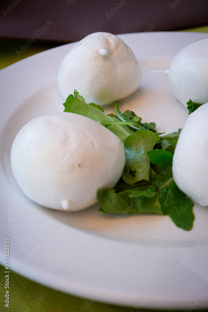Mozzarella di buffalo with fresh lettuce on the white clean plate. Mozzarella di buffalo with fresh lettuce on the white clean plate.