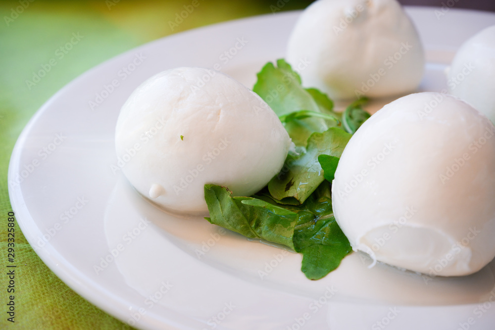 Mozzarella di buffalo with fresh lettuce on the white clean plate. Mozzarella di buffalo with fresh lettuce on the white clean plate.