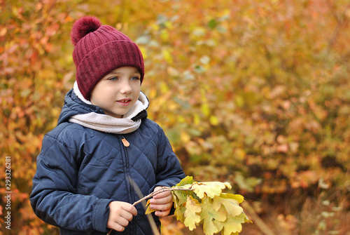 Cute child kid boy in the autumn forest with orange red green leaves trees  at cool cold weather day dressed up in jacket and red cup