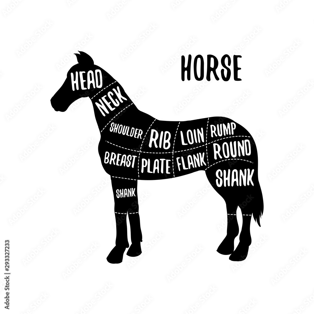 Horse meat cutting charts vector illustration for butchers shop guide ...