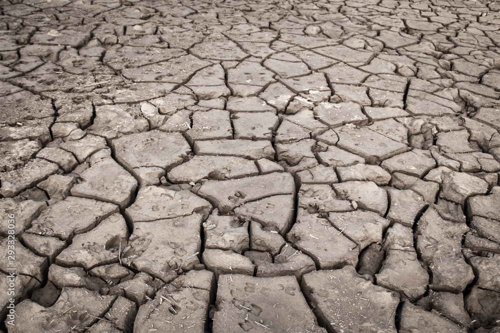 texture of dry cracked earth. Desert, concept of time of drought and global warming. texture of dry cracked earth. Desert, concept of time of drought and global warming.