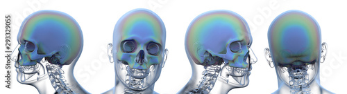 Fototapeta Naklejka Na Ścianę i Meble -  3d rendering illustration of skull anatomy