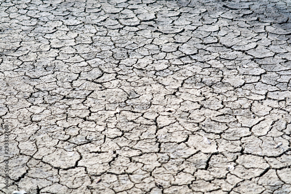 The soil is dry, the surface is cracked because it doesn't rain for a long time and sunburn on top dirt