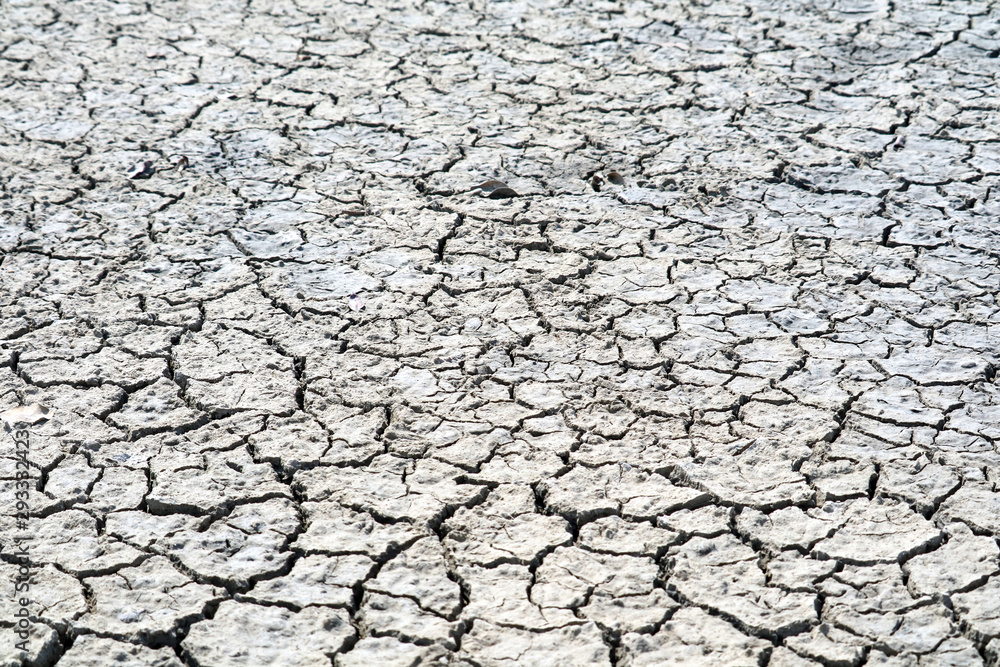 The soil is dry, the surface is cracked because sunburn on top dirt and rain doesn't for a long time The soil is dry, the surface is cracked because sunburn on top dirt and rain doesn't for a long time