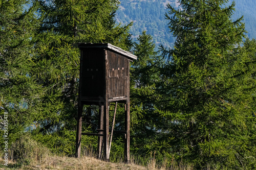 wildlife observation point in the bush. alps, Italy. © mariof
