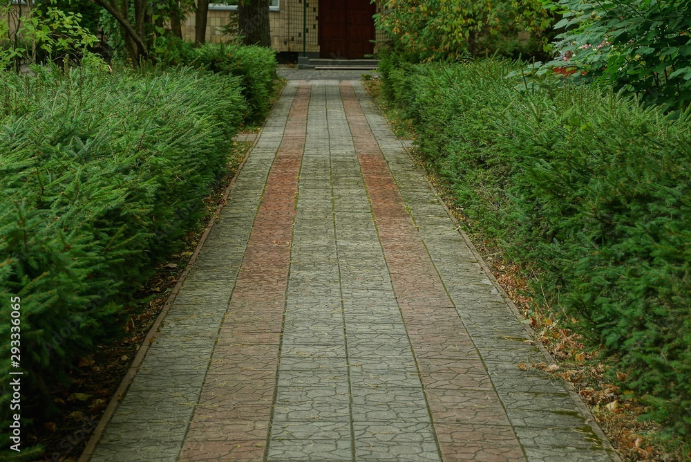 alley of colored paving tiles among decorative bushes and green vegetation in the park