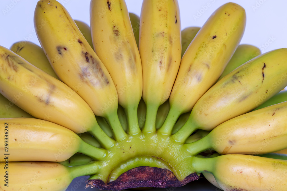 A bunch of small ripe bananas, top view, on white background