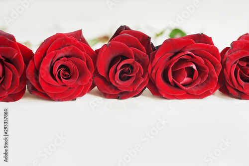 red roses  greeting card template