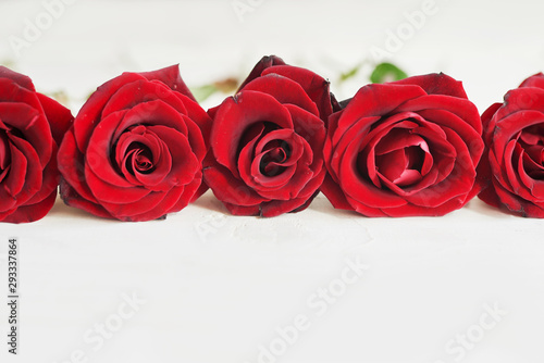 red roses, greeting card template