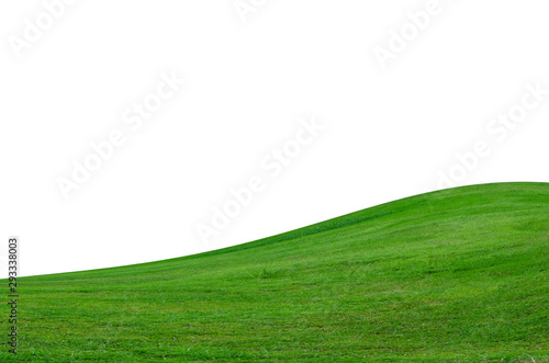 Green grass field isolated on white background with clipping path.