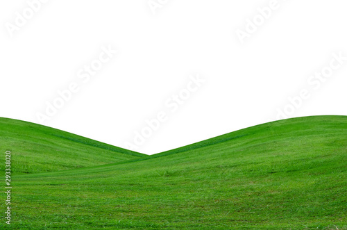 Green grass field isolated on white background with clipping path.