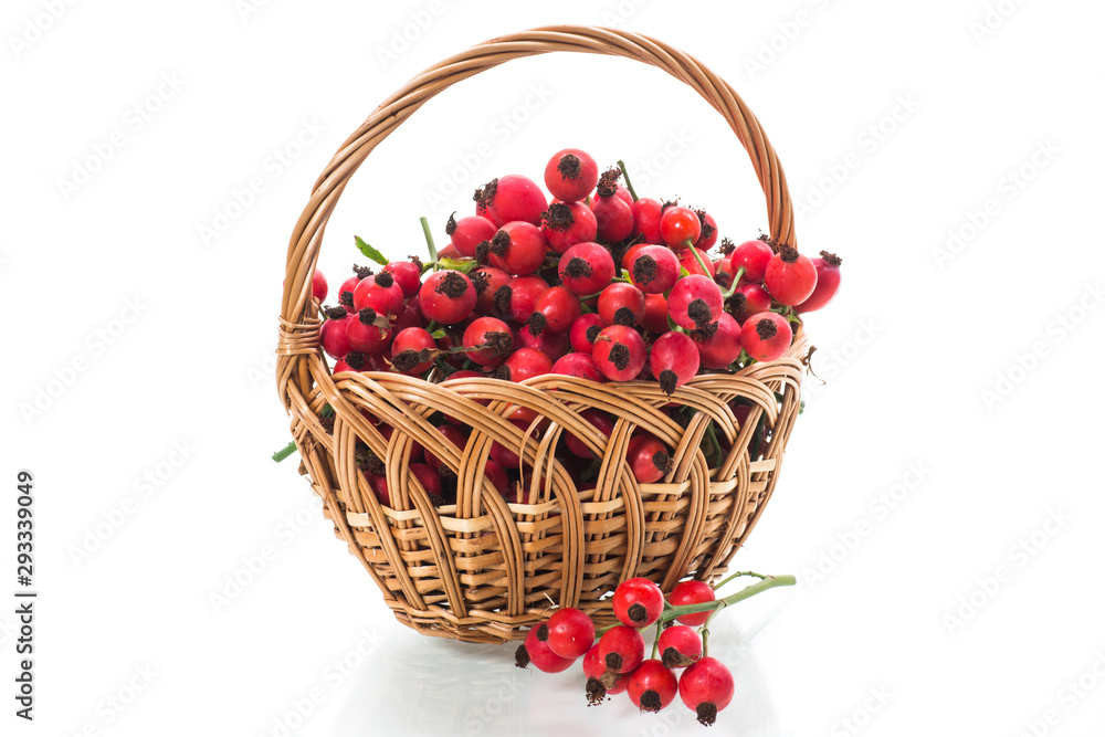 ripe red dogrose in a basket isolated on white ripe red dogrose in a basket isolated on white