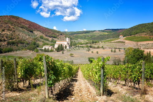 Obraz na płótnie Abbey of Sant'Antimoand vineyards , Montalcino, Tuscany, Italy
