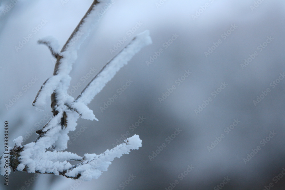 Obraz premium Naturaleza