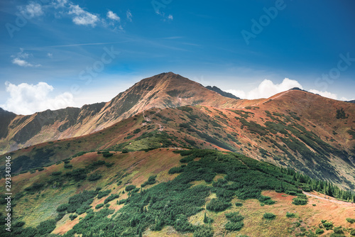 Path in mountains - Tatra Mountains Range