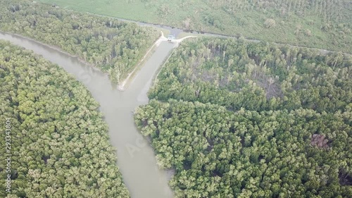 Aerial view mangrove tree forest and river at Batu Kawan, Penang, Malaysia. photo