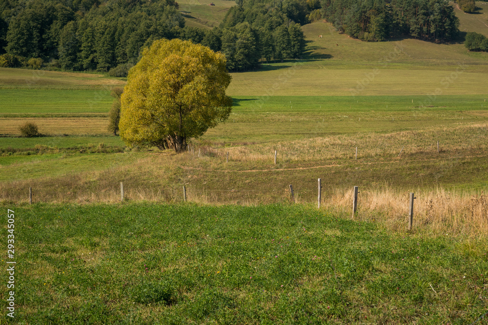 Fototapeta premium Autumn view on the meadow, hills and trees in Suwalski Landscape Park, Podlaskie, Poland