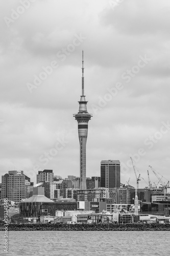 Auckland City Scape