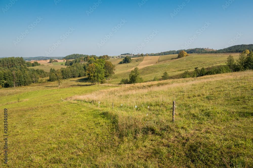 Autumn view on the meadow, hills and trees in Suwalski Landscape Park, Podlaskie, Poland