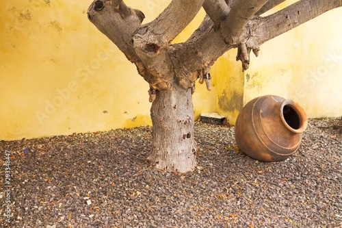 Foto Isolated amphora under the tree in the garden and a yellow wall background (Made