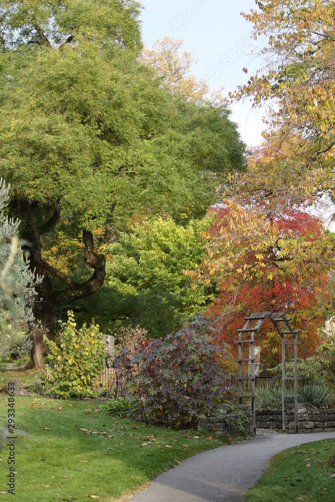 Naklejka premium ARBOLES BOSQUES rios