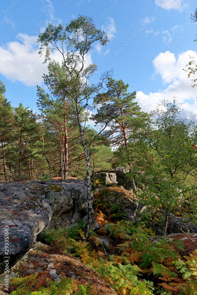 Fototapeta premium Apremont rocky chaos in Fontainebleau forest
