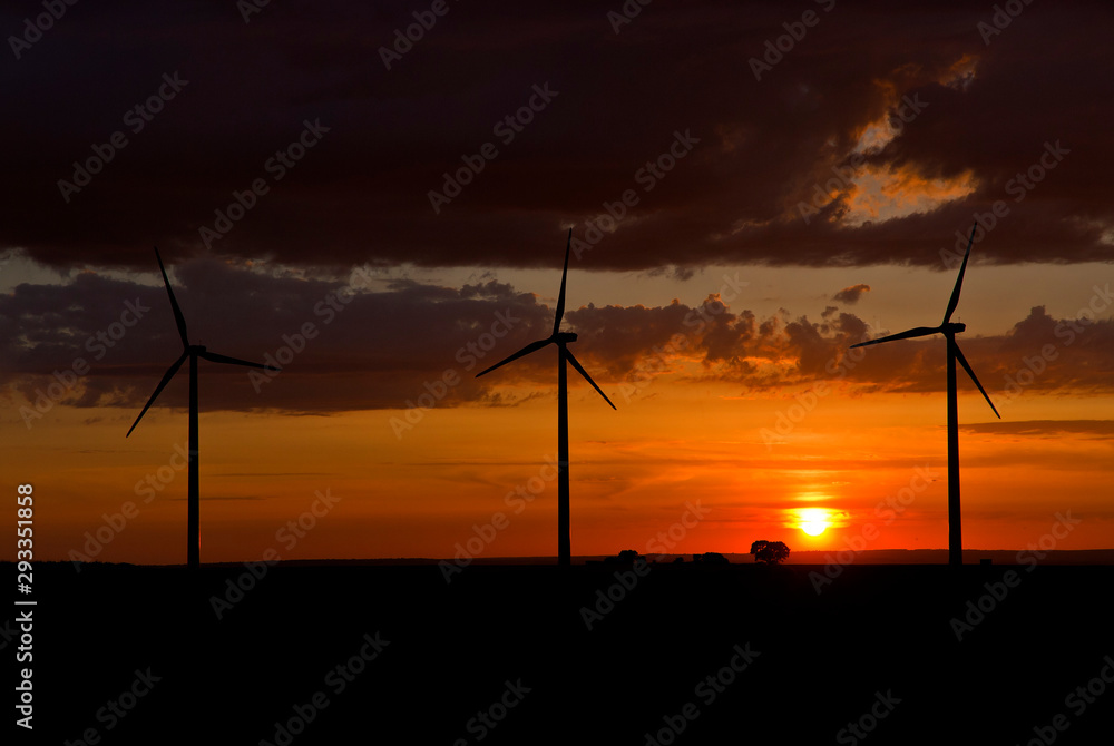 Obraz premium Wind turbines at sunset