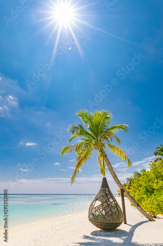 Fototapeta Naklejka Na Ścianę i Meble -  Beautiful tropical Maldives beach under cloudy sky with swings or hammock on coconut palm. Luxury vacation concept