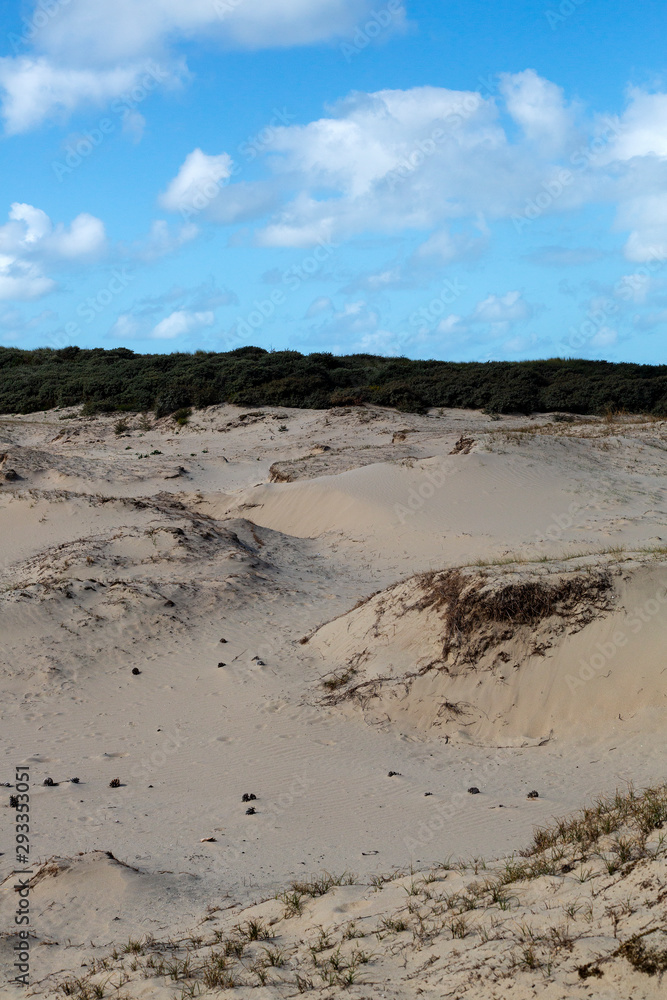 Sand drift in Dutch dunes;  Zeeland , Netherlands