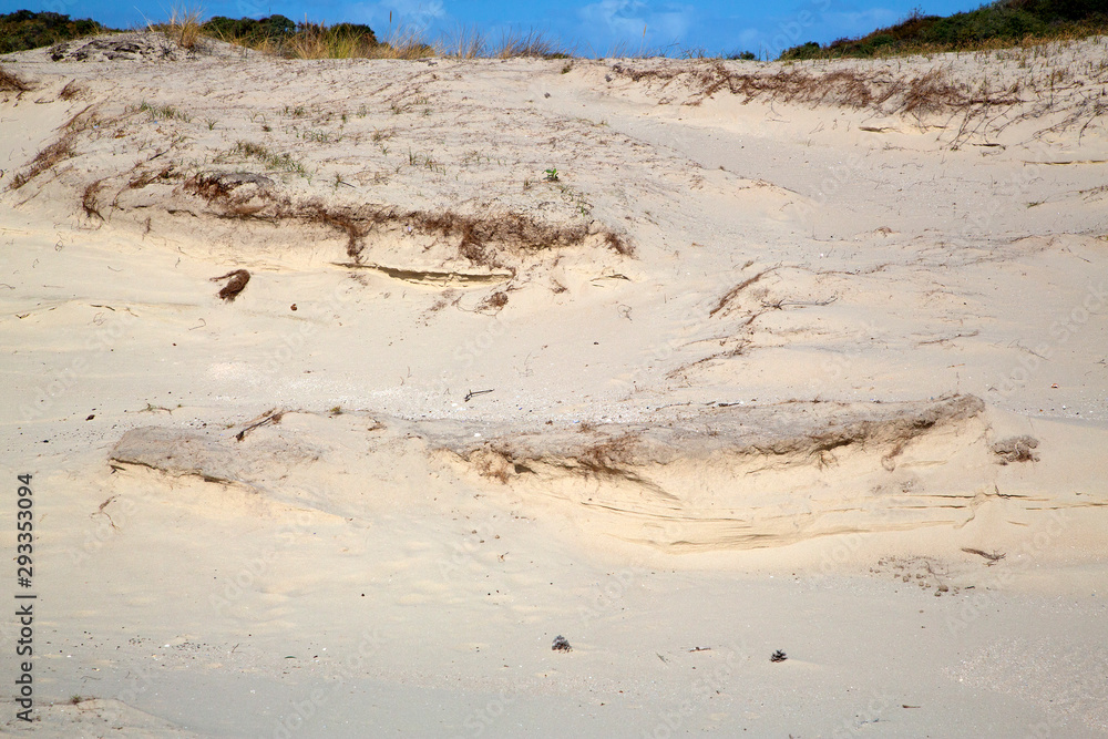 Sand drift in Dutch dunes; Zeeland , Netherlands Sand drift in Dutch dunes; Zeeland , Netherlands