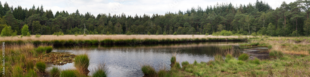 Panorama of mere in forest, Drenthe, Netherlands Panorama of mere in forest, Drenthe, Netherlands