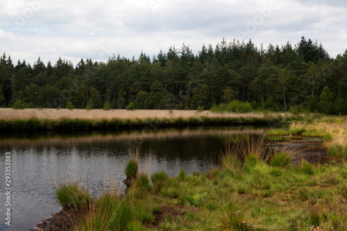 Mere in forest, Drenthe, Netherlands