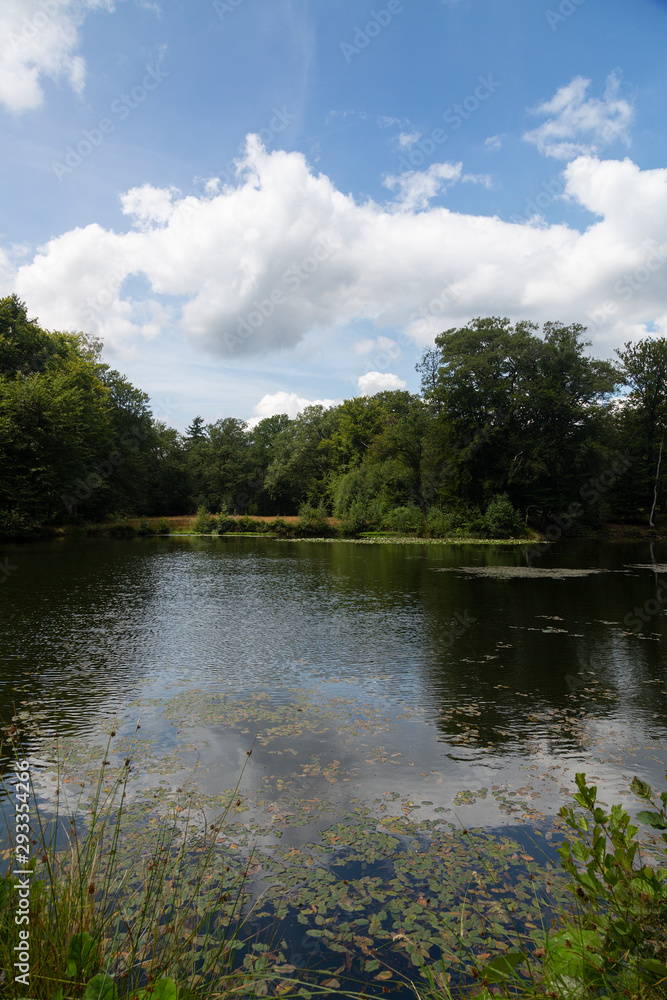 Obraz premium Pool in the middle of woodland fed by well; Springendal, Twenthe, Netherlands