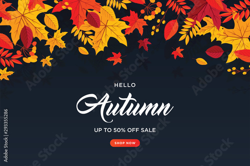 Autumn background with flat leaves. Seasonal lettering.web banner template.vector illustration