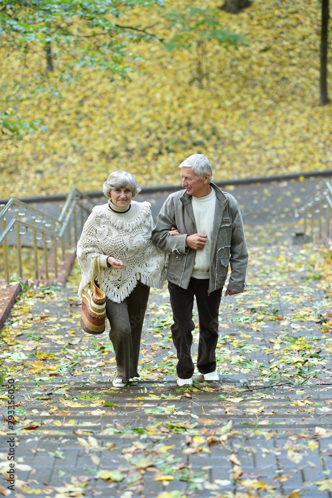 Fototapeta premium Portrait of happy senior couple walking in autumn park
