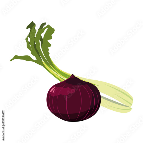 Isolated onion and celery icon vector design