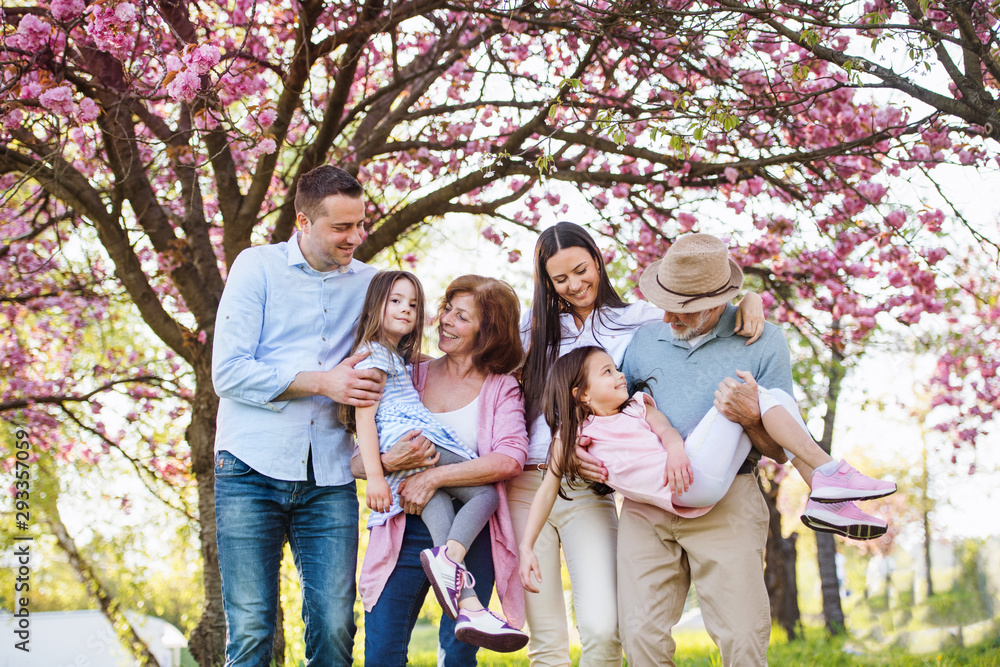 Three generation family standing outside in spring nature, looking at camera. Three generation family standing outside in spring nature, looking at camera.