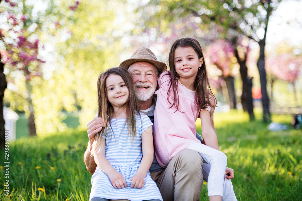 Fototapeta premium Senior grandfather with granddaugthers outside in spring nature.