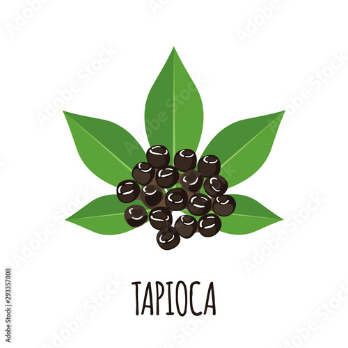Tapioca icon with cassava leaf in flat style isolated on white background.