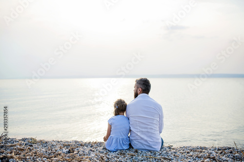 Slika na platnu Rear view of father and small daughter on a holiday sitting by the lake