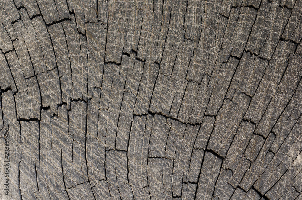 Textra old boards in the cracks Textra old boards in the cracks