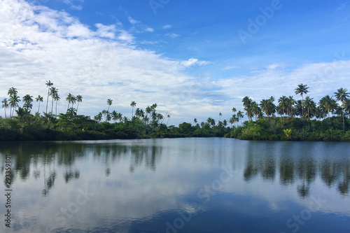 Beautiful palm trees reflection at village of Sato'alepai, Samoa, the swimming with turtle place. 