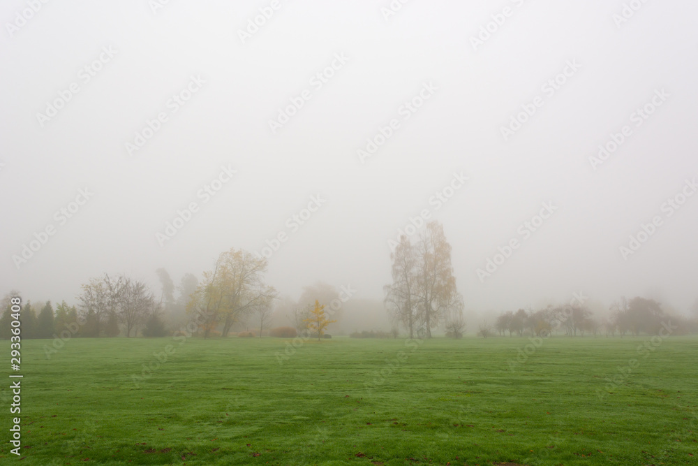 Foggy autumn landscape with leaves engulfed in warm colors. Foggy autumn landscape with leaves engulfed in warm colors.