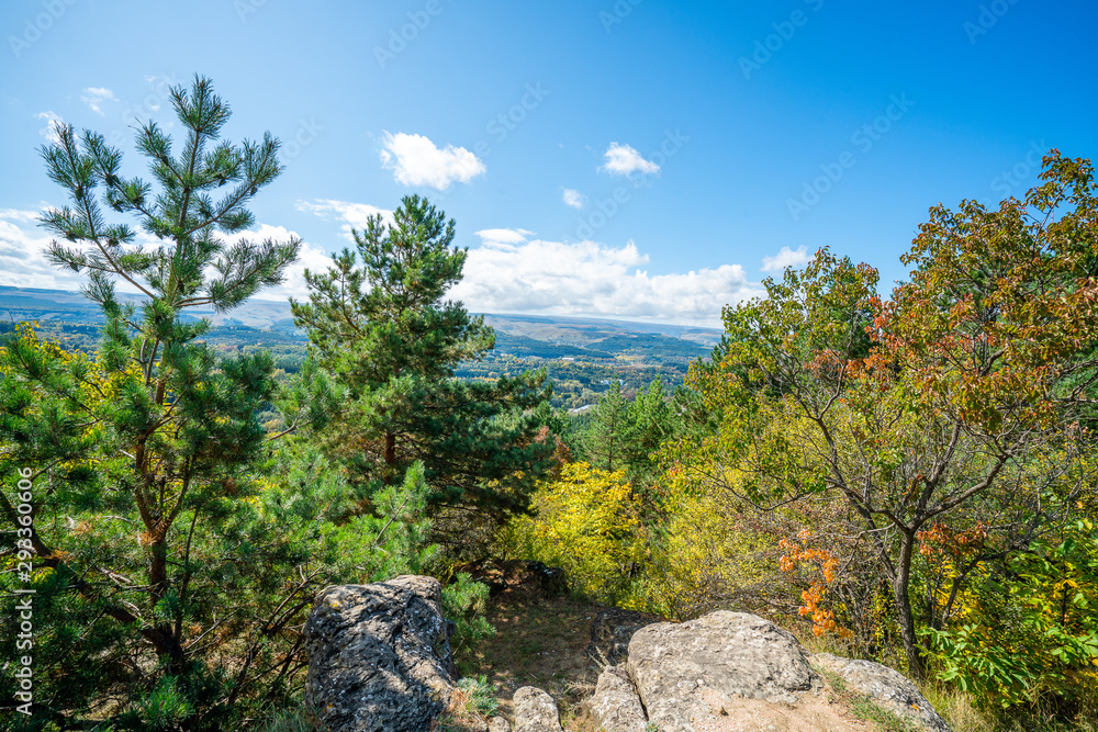 Trees on a cliff in the mountains, view from the Resort Park to the city of Kislovodsk Trees on a cliff in the mountains, view from the Resort Park to the city of Kislovodsk