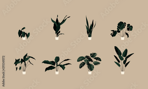 Set of vector plant illustrations. Leaves  Greenery  Stem  Houseplant  Landing Page