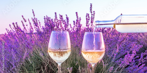 Lavender wine panorama. White wine poured from a bottle into glasses against a lavender field background