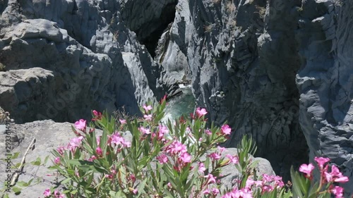 Wallpaper Mural Panoramic view from above of the spectacular Alcantara gorges, in Sicily Italy. Torontodigital.ca