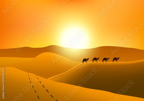 Silhouette of camels marcher in the desert at sunset. Footprints on the sand dunes. 