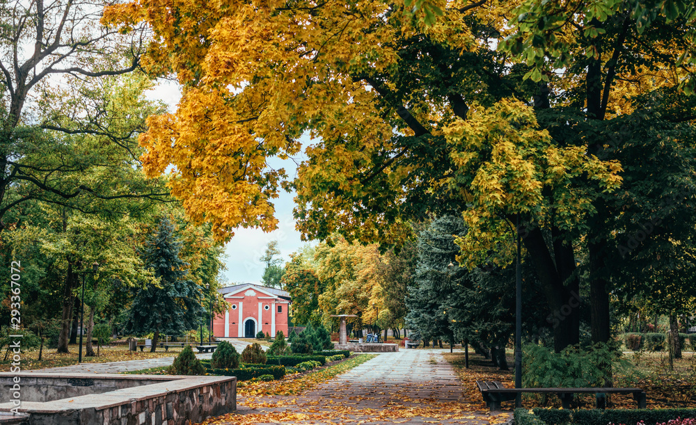 Empty wooden benches and picturesque autumn park	